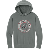 Allegheny Badgers Youth Lightweight Hooded Sweatshirt
