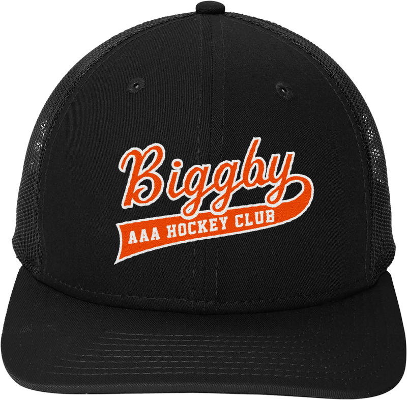 Biggby Coffee AAA New Era Snapback Low Profile Trucker Cap