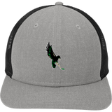 Wilmington Nighthawks New Era Snapback Low Profile Trucker Cap